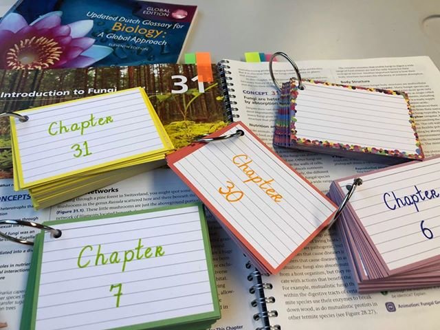 flash cards- revision strategies